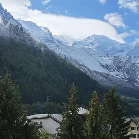 Face Au Mont-blanc Апартаменти Шамоні