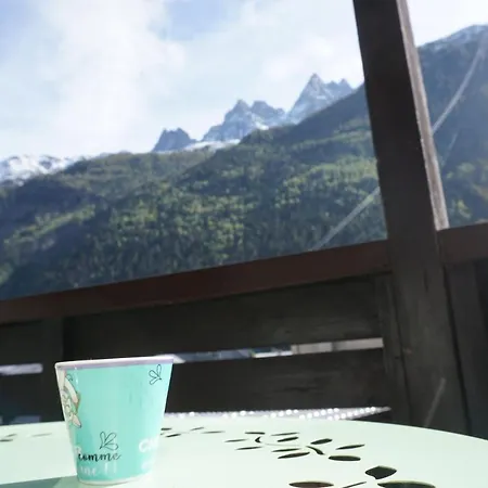 Studio Face Au Mont-blanc Chamonix