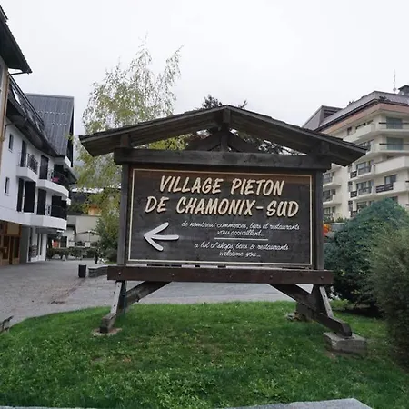 Studio Face Au Mont-blanc Apartment *
