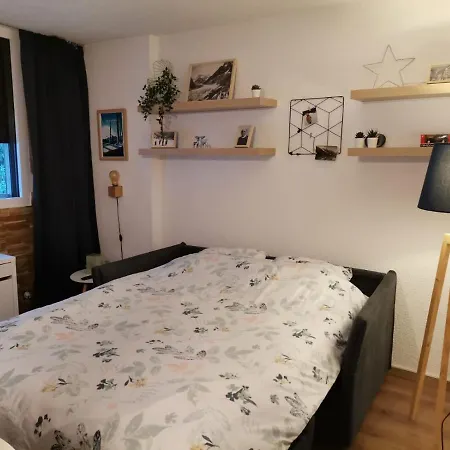 Studio Face Au Mont-blanc Apartment