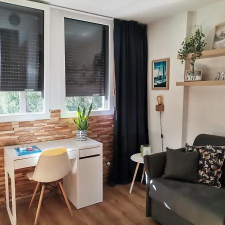 Apartment Studio Face Au Mont-blanc