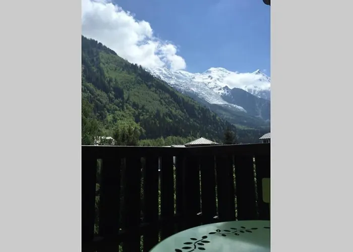 Face Au Mont-blanc *