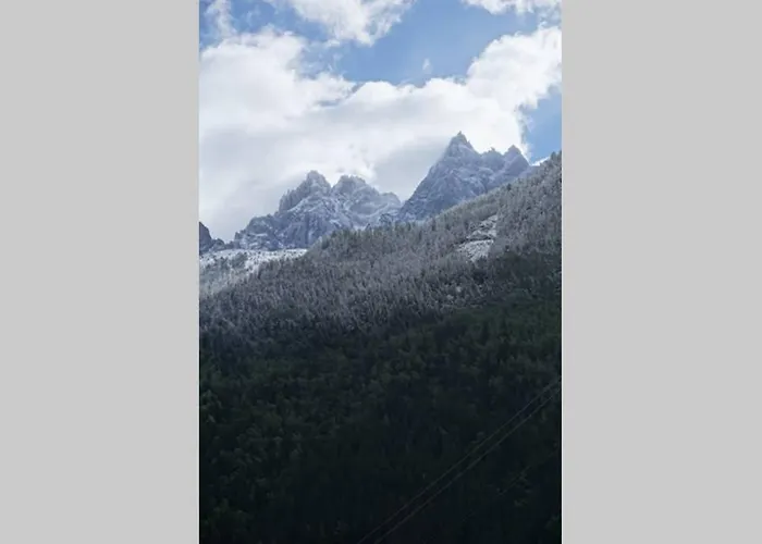 Appartement Face Au Mont-blanc