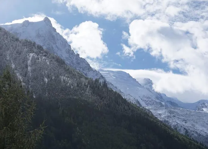 Appartement Face Au Mont-blanc