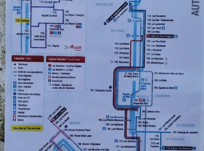 Face Au Mont-blanc Chamonix