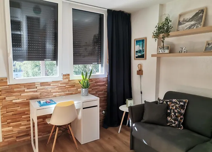 Appartement Face Au Mont-blanc