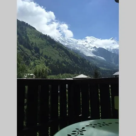 Face Au Mont-blanc *